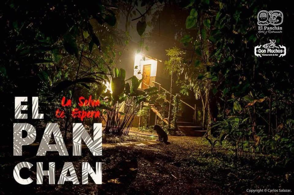 El Panchan パレンケ エクステリア 写真